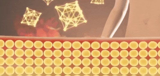 1_13.gif