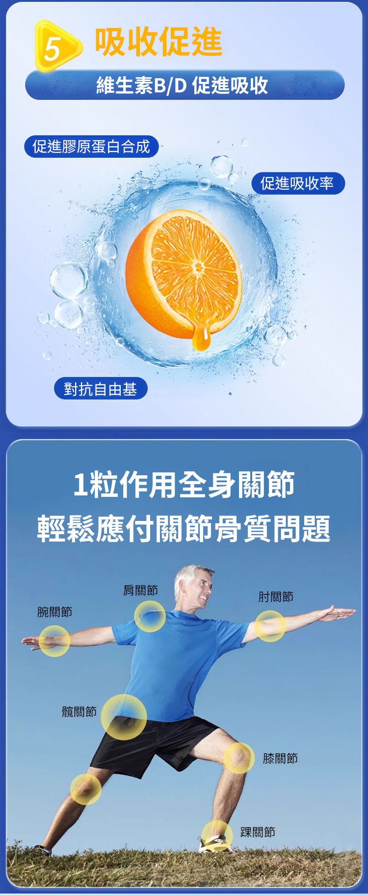 翻译件-HFH-氨糖软骨素无蔗糖高钙-1189507-系统_18.jpg