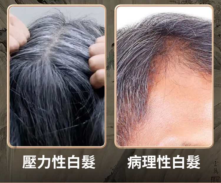 翻译件-SL-【白发不用染】人参桑葚乌黑膏-1265835-系统_15.jpg