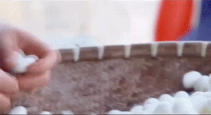 1617877473518809.gif