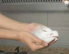06.gif