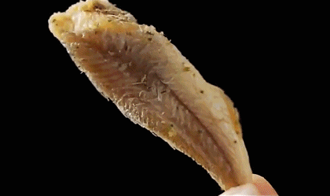 F10cyrYK26cD13RPrs3_315521333706_mp4_264_hd20218616561411.gif