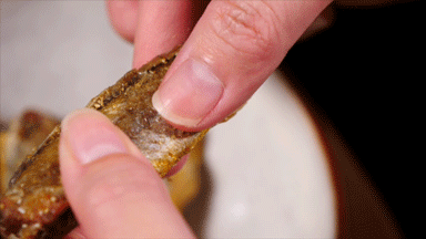 v2-ca13d0ef23df31740ed03ed0066551a9_b.gif