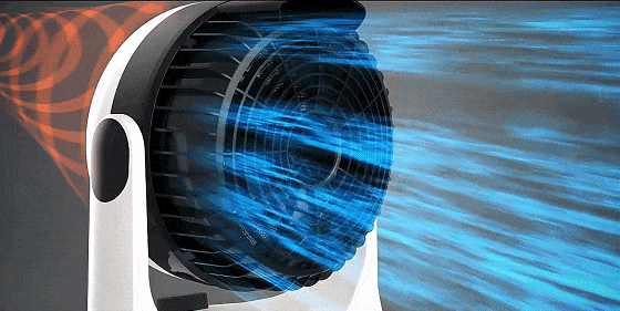 ZF_07-1.gif