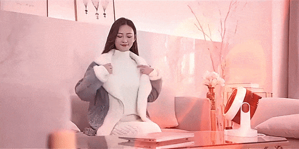 ZF_05-1.gif