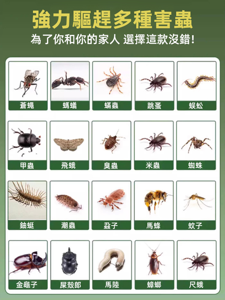 【百米無緣】防蟑螂凝珠魔盒