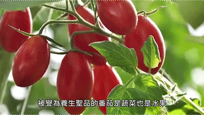 11.gif
