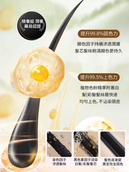 【一洗年輕十歲】植物泡沫染髮劑