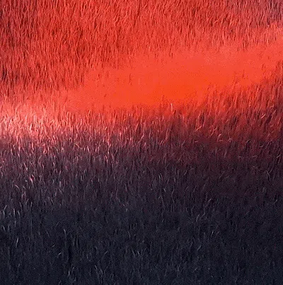 翻译_18+.webp