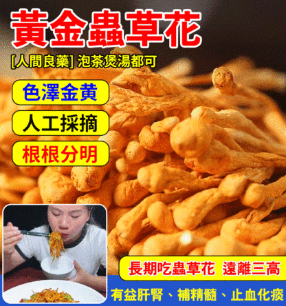 手工挑選純天然無硫蟲草花