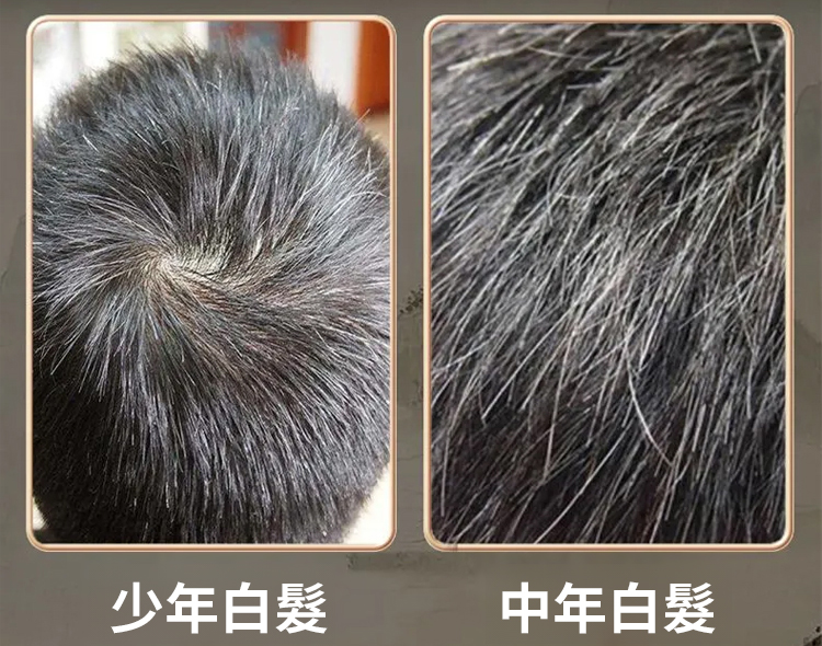 翻译件-SL-【白发不用染】人参桑葚乌黑膏-1265835-系统_13.jpg