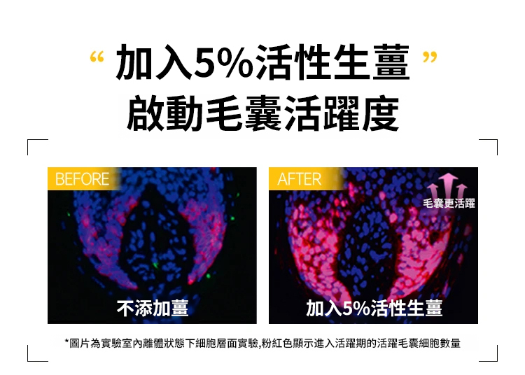 翻译件-SL-何首乌植物养发防脱-1202755-系统_22.jpg