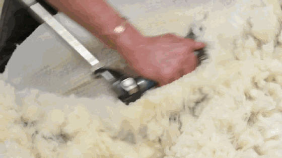 20241016_100343_143.gif