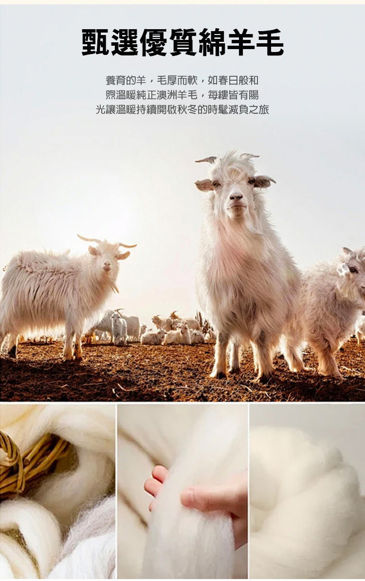 翻译_19.jpg