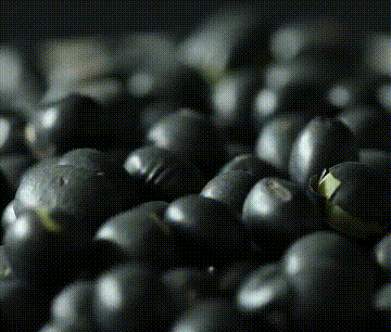 9f2c513f837cbe18de109f09d752329c.gif