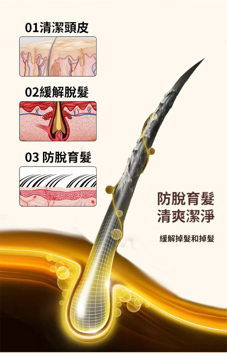 翻译件-SL-何首乌植物养发防脱-1202755-系统_19.jpg