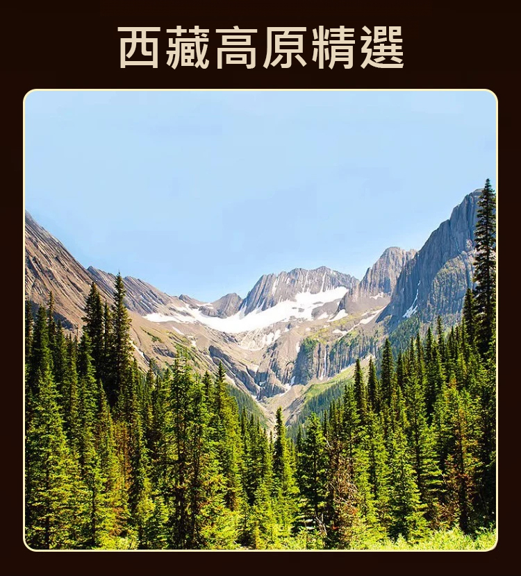 翻译件-SL-纯正野生人工采摘藏精茶-1202457-系统_06.jpg