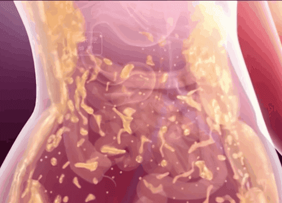 1729762444938484.gif