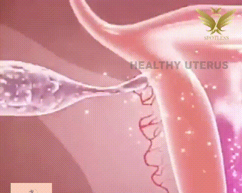 3217adea1cdf58ef359452fd07409d43.gif