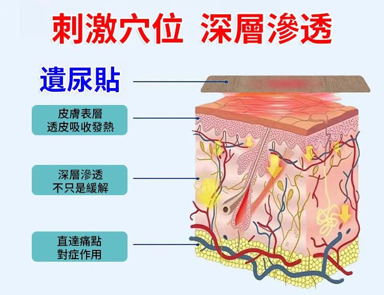 翻译件-HFH-【漏尿问题专研】遗尿穴位压力刺激贴-1210245-系统_12.jpg