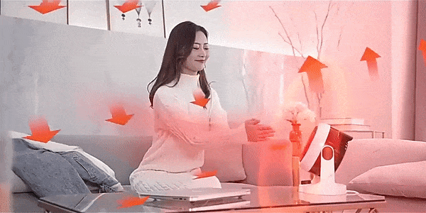 ZF_03-1.gif