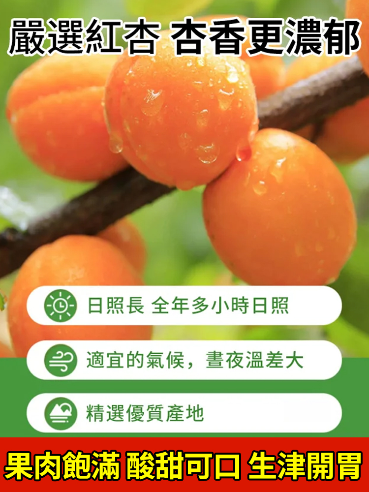 【香甜軟糯】無添加無核紅杏干