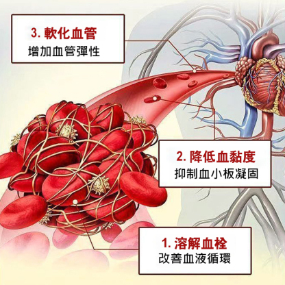 金奧力牌納豆紅曲膠囊