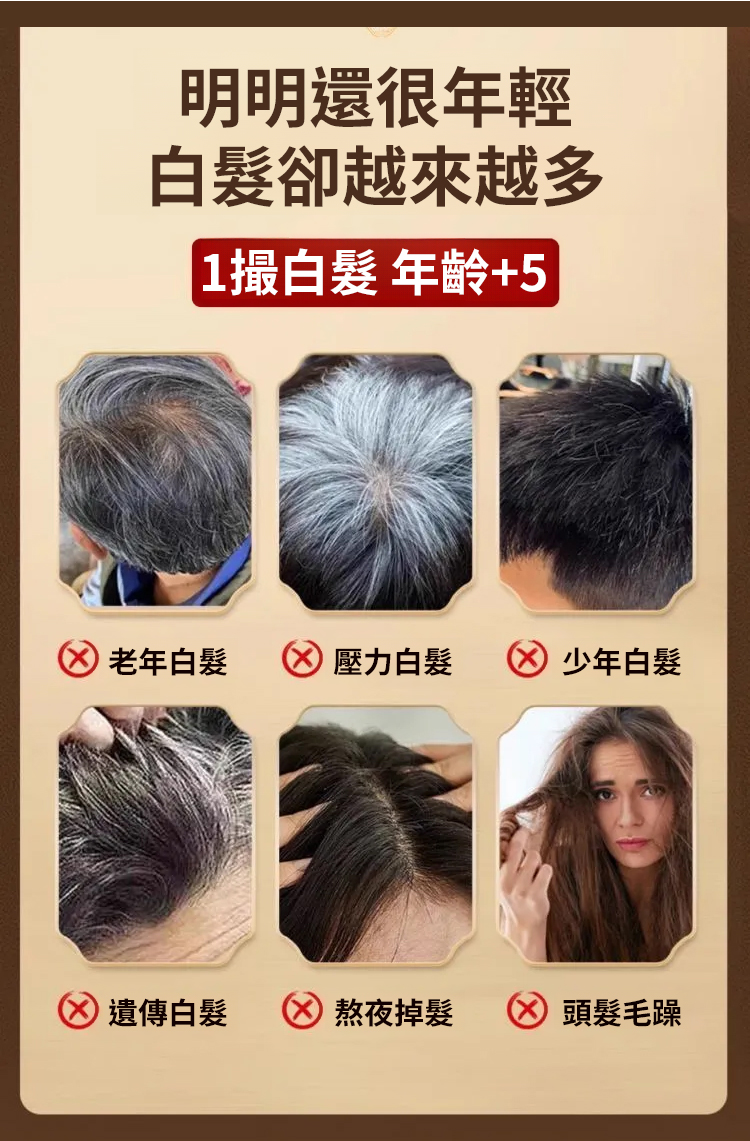 翻译件-SL-【白发不用染】人参桑葚乌黑膏-1265835-系统_04.jpg