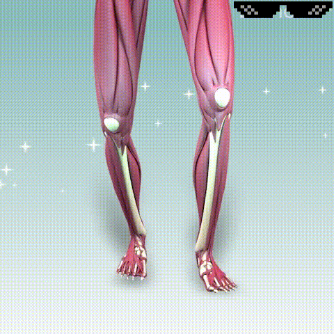 5.gif