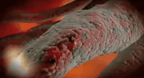 43a875c009a18ed2781046ebe7fdc097.gif
