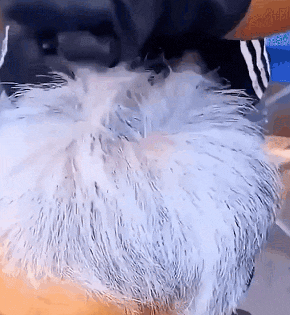 3d9c6e5ef0f6a8848e93af4e1f0d2856.gif