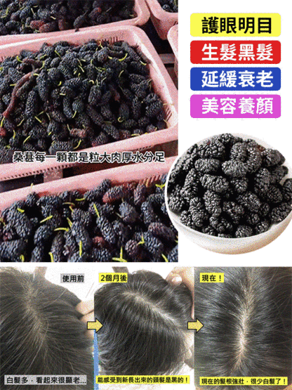 天然野生桑葚果