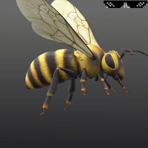 4.gif