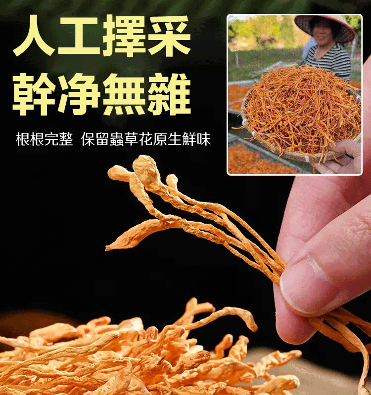 手工挑選純天然無硫蟲草花