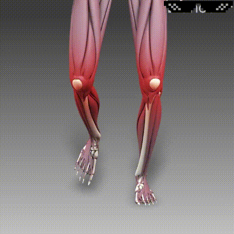 3.gif