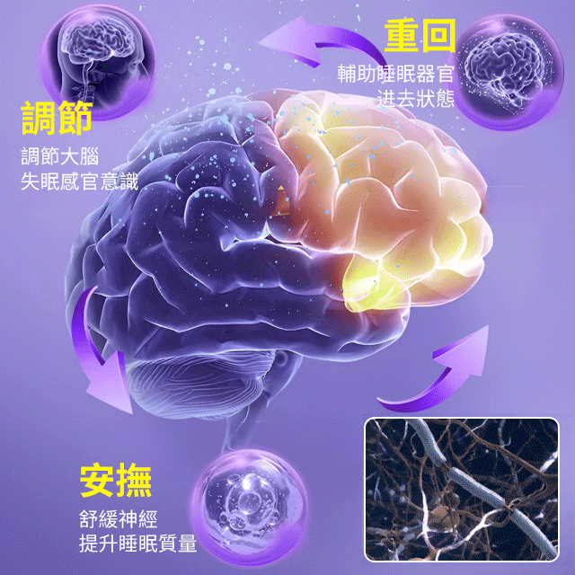 香港李時珍酸棗仁安舒飲