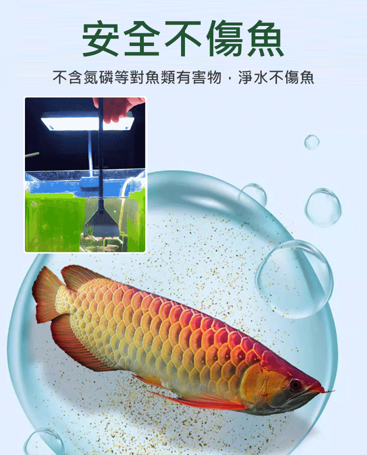 【養魚神器】魚缸高分子淨水片