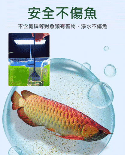 【養魚神器】魚缸高分子淨水片