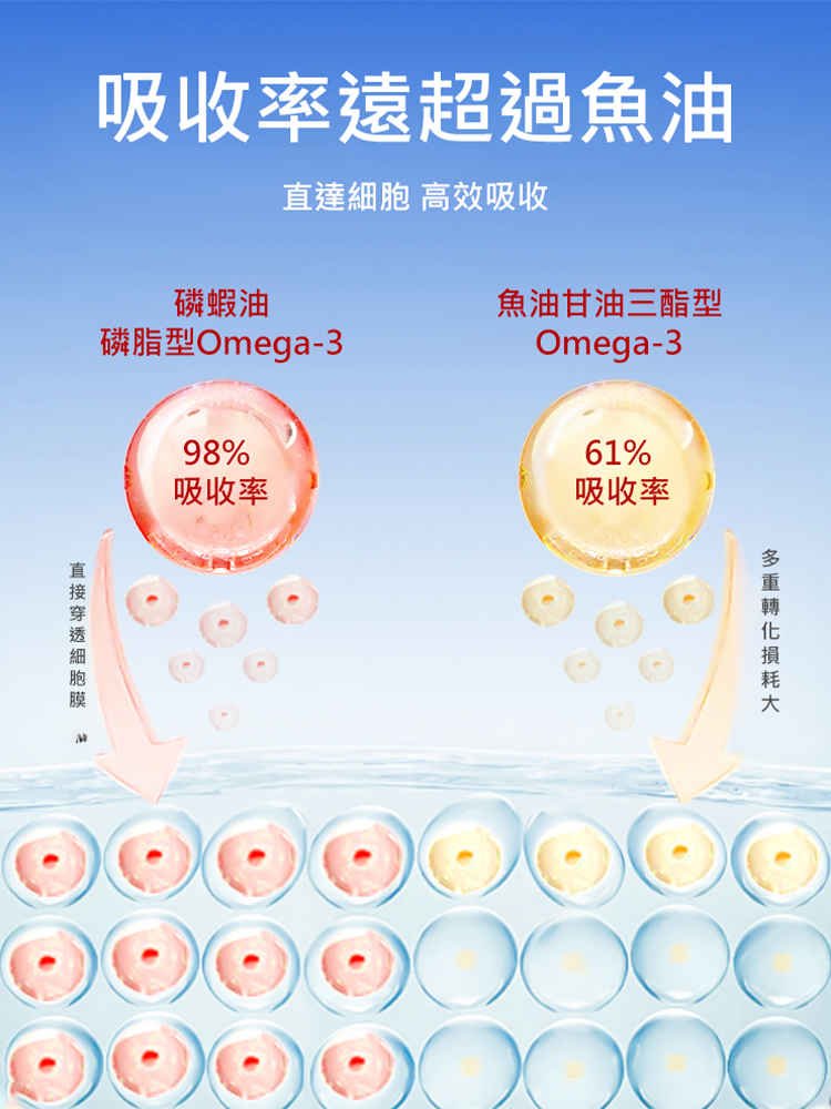 【15天還你一個健康血管】南極磷蝦油膠囊