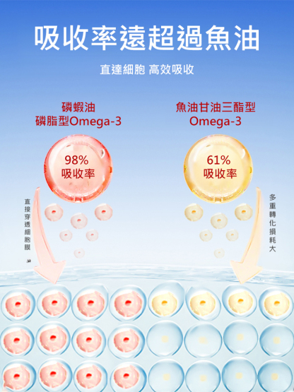 【15天還你一個健康血管】南極磷蝦油膠囊