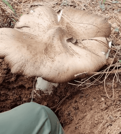 Honeycam 2024-09-09 14-08-59.gif