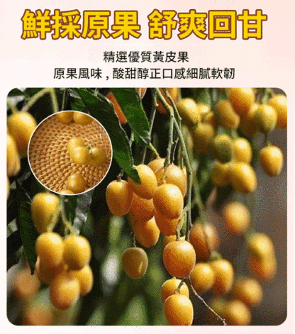 【止咳化痰·果中之寶】甘草黃皮乾