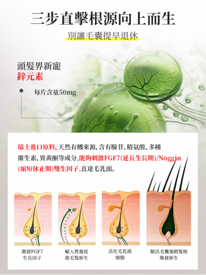 【泰國熱賣中】防脫神器補鋅片