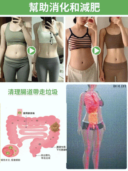 美味健康獼猴桃乾