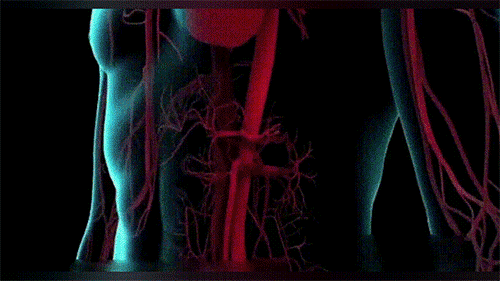 01.gif