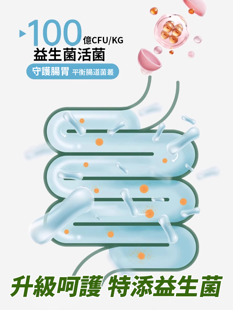 【一顆去味】0糖口香茶葉含片