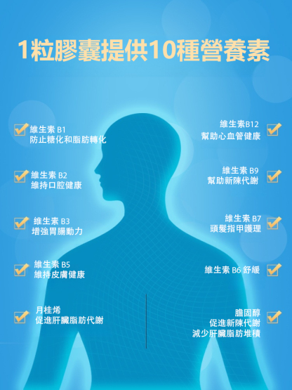 【提高代謝 】複合多種維B飛薊籽片