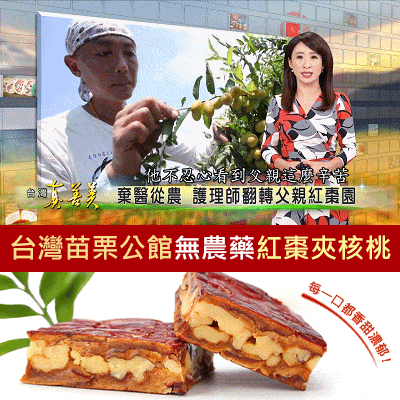 【棄醫從農—紅棗王】台灣苗栗公館紅棗夾核桃