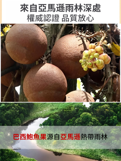 【堅果之王】原味巴西沙漠鮑魚果