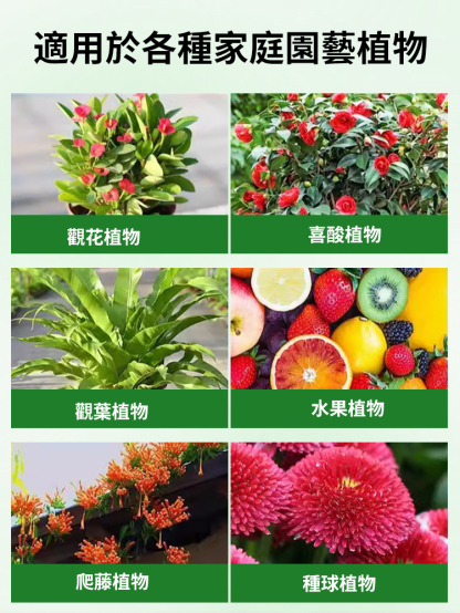 【爆盆開花】新款硫酸亞鐵土壤光合肥